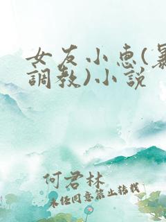 女友小惠(暴露调教)小说