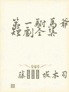 第一驸马爷顾道短剧全集