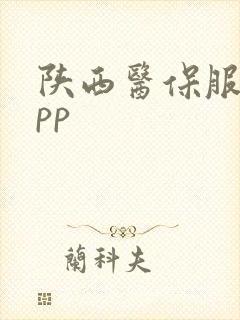 陕西医保服务app