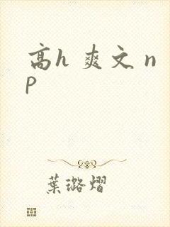 高h 爽文 np