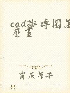 cad排砖图怎么画