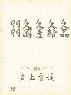 99久久久久久99国产精品免