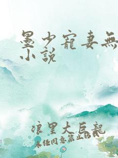 墨少宠妻无节制小说