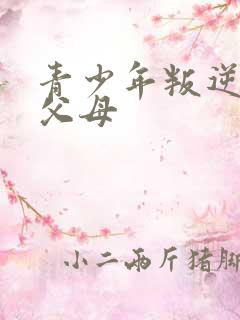 青少年叛逆期打父母