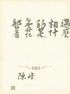 那年的相遇都飘着花是什么歌