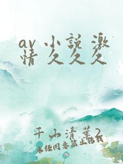 av 小说 激情 久久久
