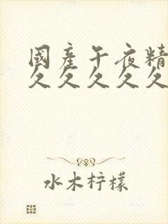 国产午夜精品久久久久久久蜜臀