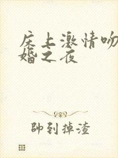 床上激情吻戏新婚之夜