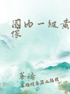 国内一级黄色录像