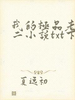 我的极品老婆小二小说txt下载