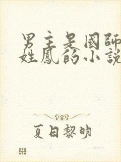 男主是国师女主姓凤的小说