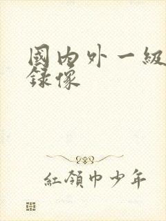 国内外一级黄色录像