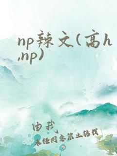 np辣文(高h,np)