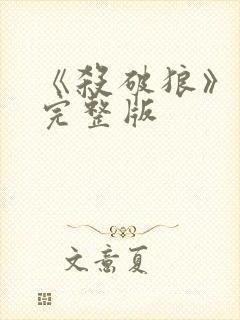 《杀破狼》免费完整版