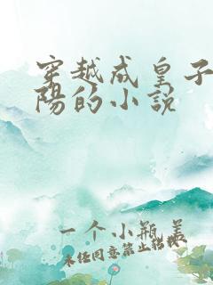 穿越成皇子李承阳的小说