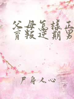 父母怎样正确教育叛逆期男孩子