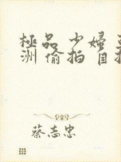 极品 少妇 亚洲 偷拍 自拍