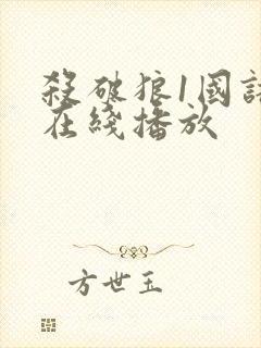 杀破狼1国语版在线播放