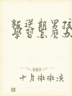 叛逆期男孩不爱学习怎么办