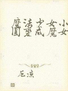 魔法少女小圆小圆变成魔女