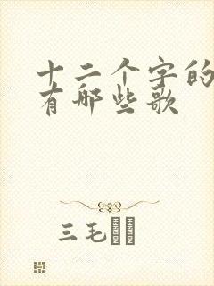 十二个字的歌名有哪些歌