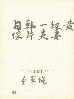 日韩一级黄色录像片夫妻