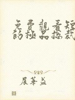 免费观看短剧我的极品总裁老婆