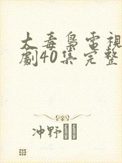 大毒枭电视连续剧40集完整版