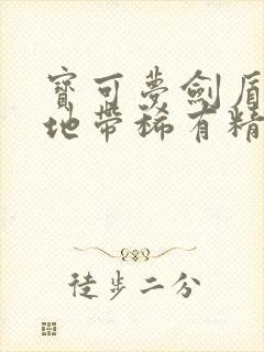 宝可梦剑盾旷野地带稀有精灵分布