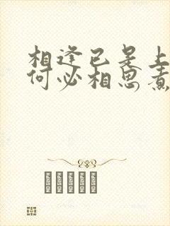 相逢已是上上签何必相思煮余年