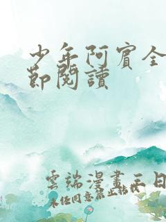 少年阿宾全文章节阅读