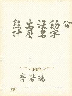 熊出没的公司叫什么名字