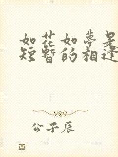 如花如梦是我们短暂的相逢是什么歌