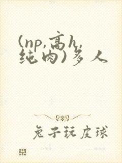 (np,高h,纯肉)多人