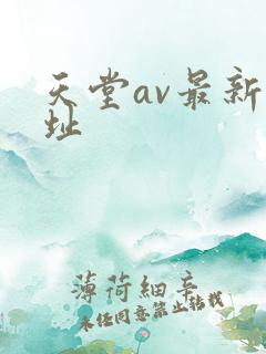 天堂av最新网址