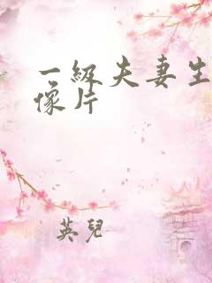 一级夫妻生活录像片