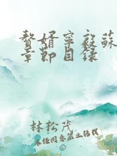 赘婿宁毅苏檀儿章节目录