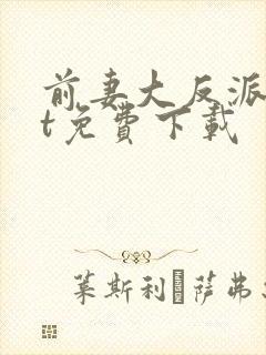 前妻大反派txt免费下载