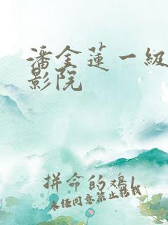 潘金莲一级片电影院