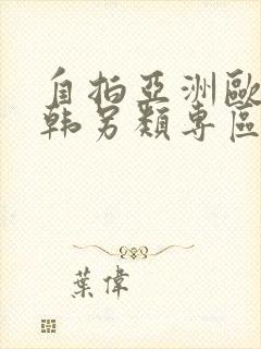 自拍亚洲欧美日韩另类专区