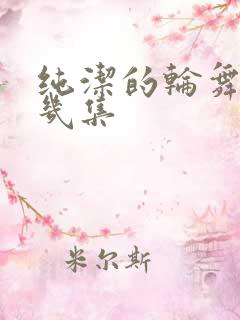 纯洁的轮舞曲有几集