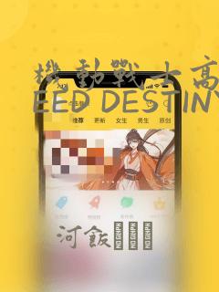 机动战士高达SEED DESTINY ASTRAY：结局+番外