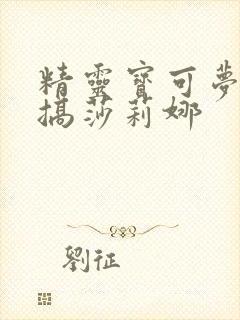 精灵宝可梦小智搞莎莉娜