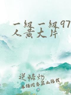 一级一级97真人黄大片