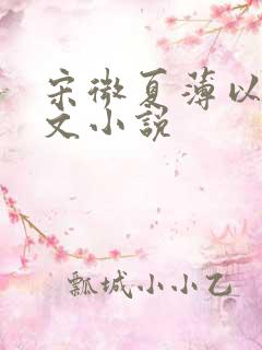 宋微夏薄以宸全文小说