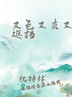 又色又爽又黄无遮挡