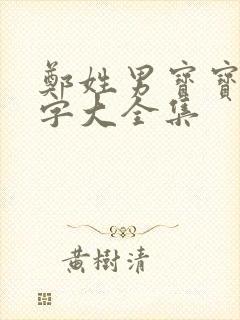 郑姓男宝宝取名字大全集