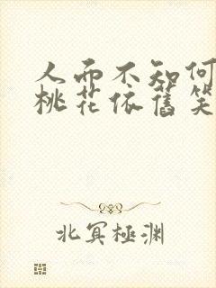 人面不知何去处桃花依旧笑春风