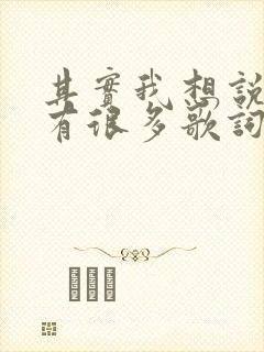 其实我想说的还有很多歌词