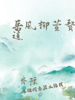 岳风柳萱赘婿当道